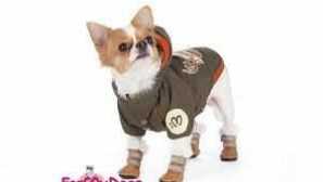 Malé psie topánky: funkcie